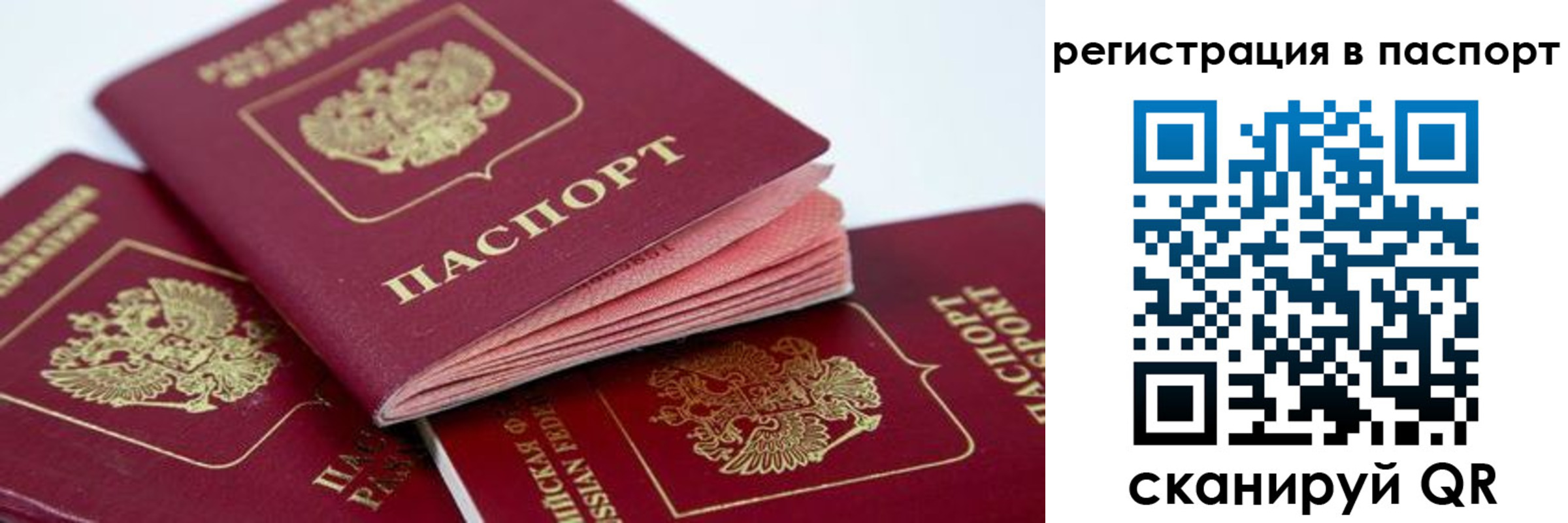 прописка для школы в Димитровграде